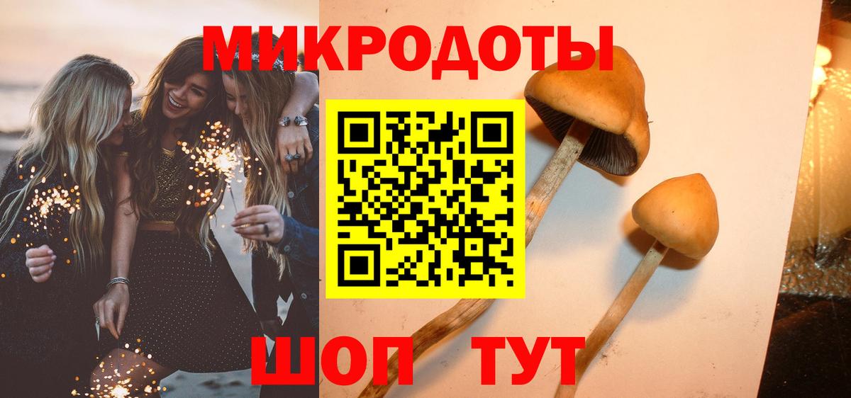 Псилоцибиновые грибы Psilocybe  Вход с VPN  Псилоцибиновые грибы мицелий  купить  сайты  Сорочинск 